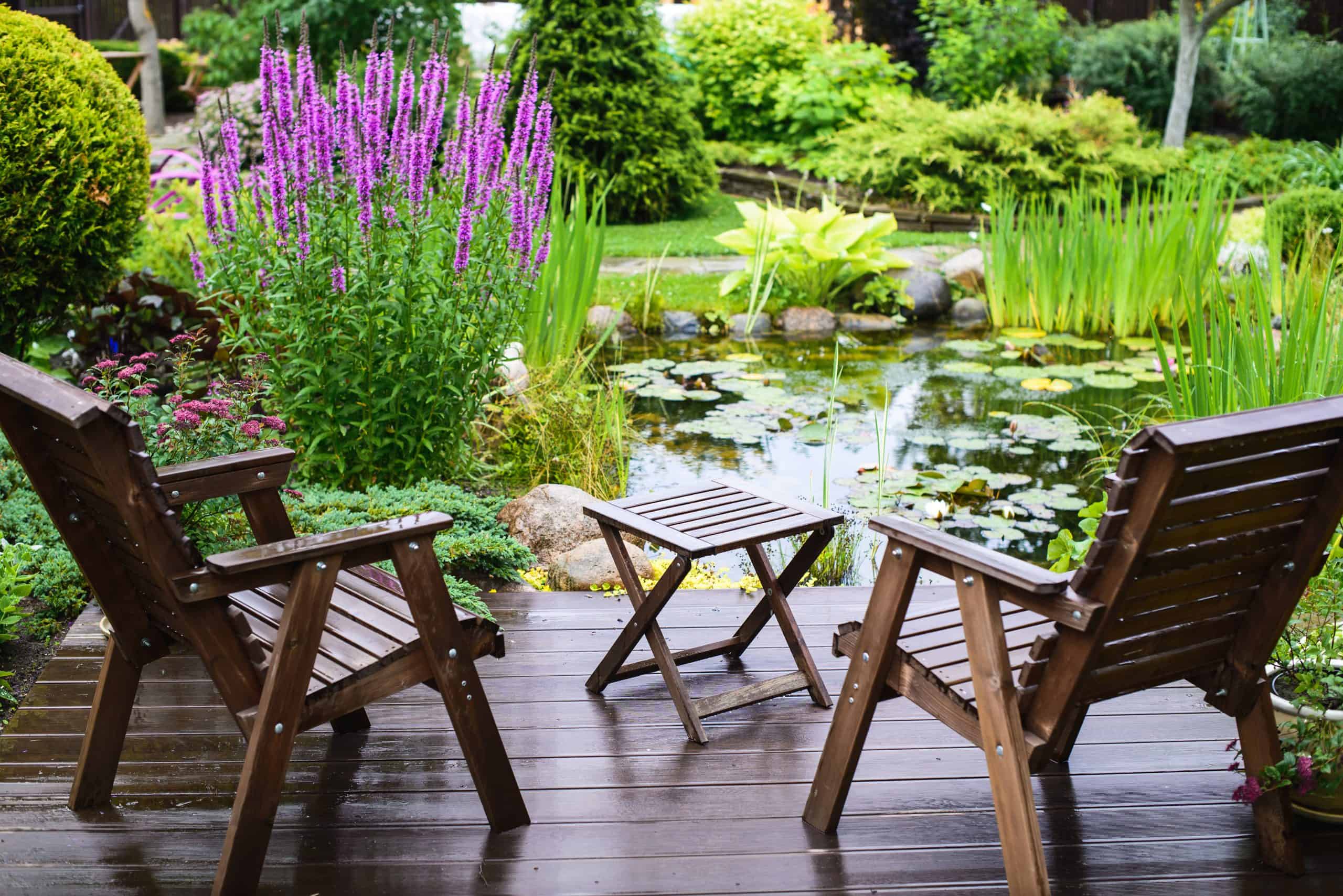 Pond in the garden – how to make it?