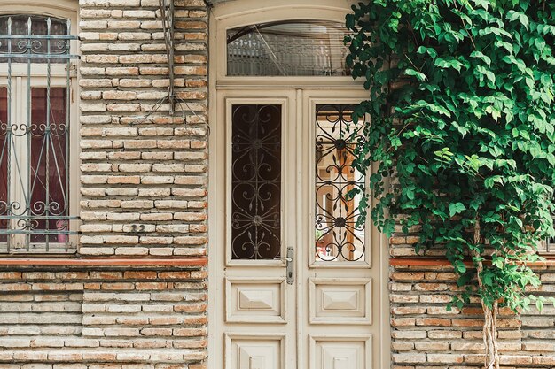 How Can You Enhance Your Space with Rustic Door Solutions?